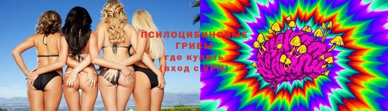 Псилоцибиновые грибы мухоморы  Сорск 